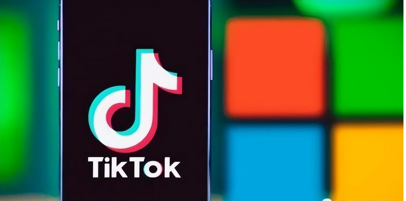 TikTok时代的独立站能否继续发力（tiktok独立站有哪些）-第1张图片-周小辉博客